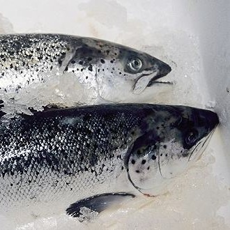 新發(fā)地三文魚(yú)案板檢測(cè)出新冠病毒，，北京多家超市連夜下架三文魚(yú)，北京新增三個(gè)病例